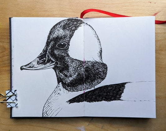 Evolving as an Artist