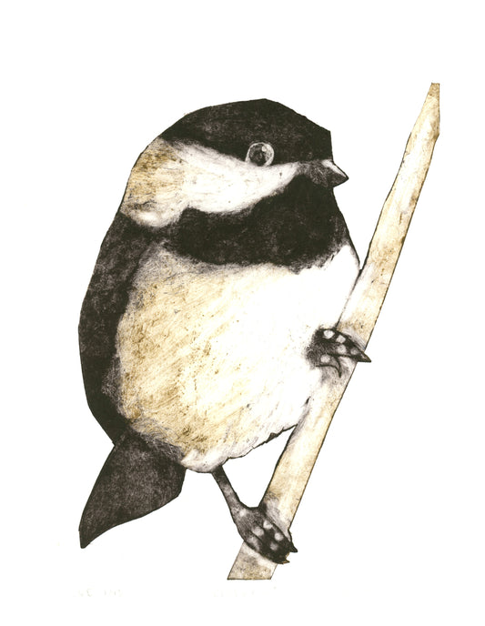 Chickadee