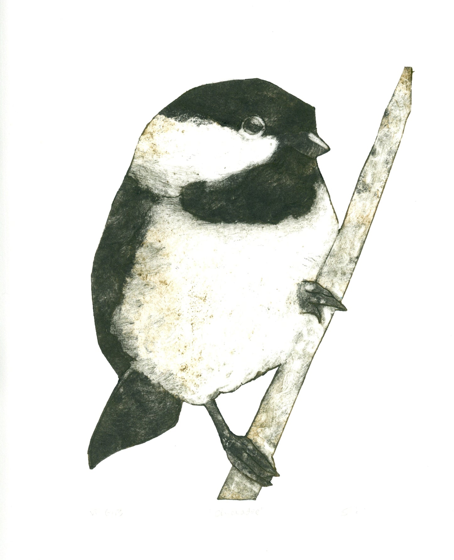 Chickadee